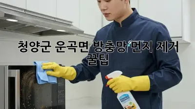 청양군 운곡면 방충망 먼지 제거 꿀팁🐝✨